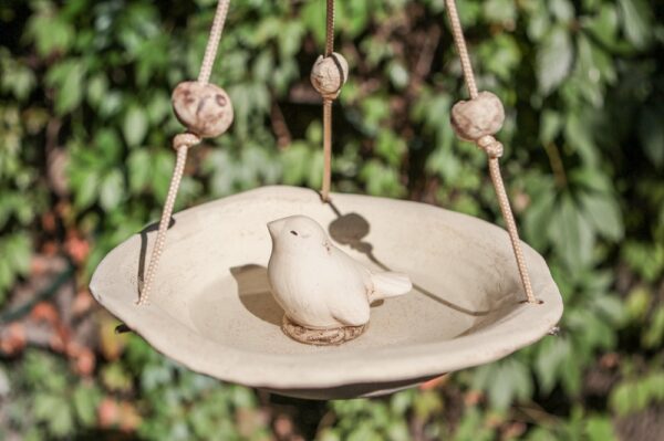 Vogeltränke hängend kleiner Spatz