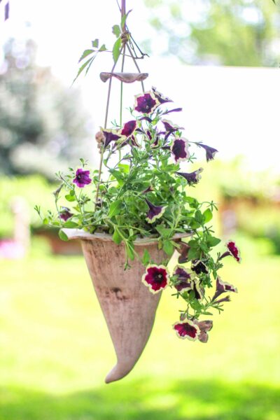 Blumenampel Harry groß