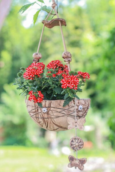 Halbschale 23 weiße Blüten