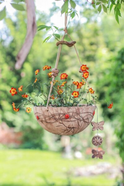 Halbschale 28 rote Blüten