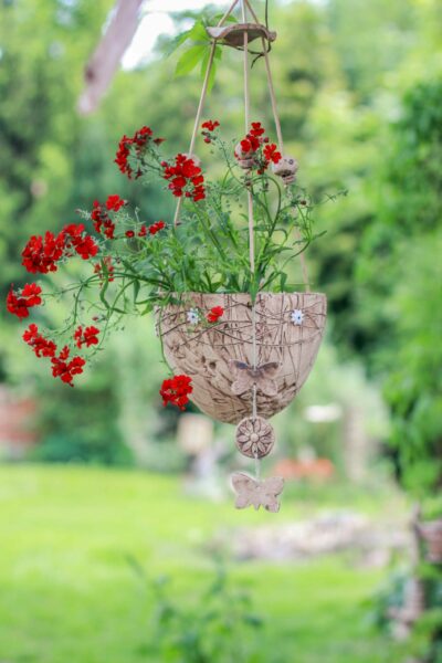 Blumenampel Kumme weiße Blüten