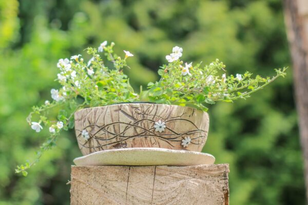 Pflanzschale 23 weiße Blüten